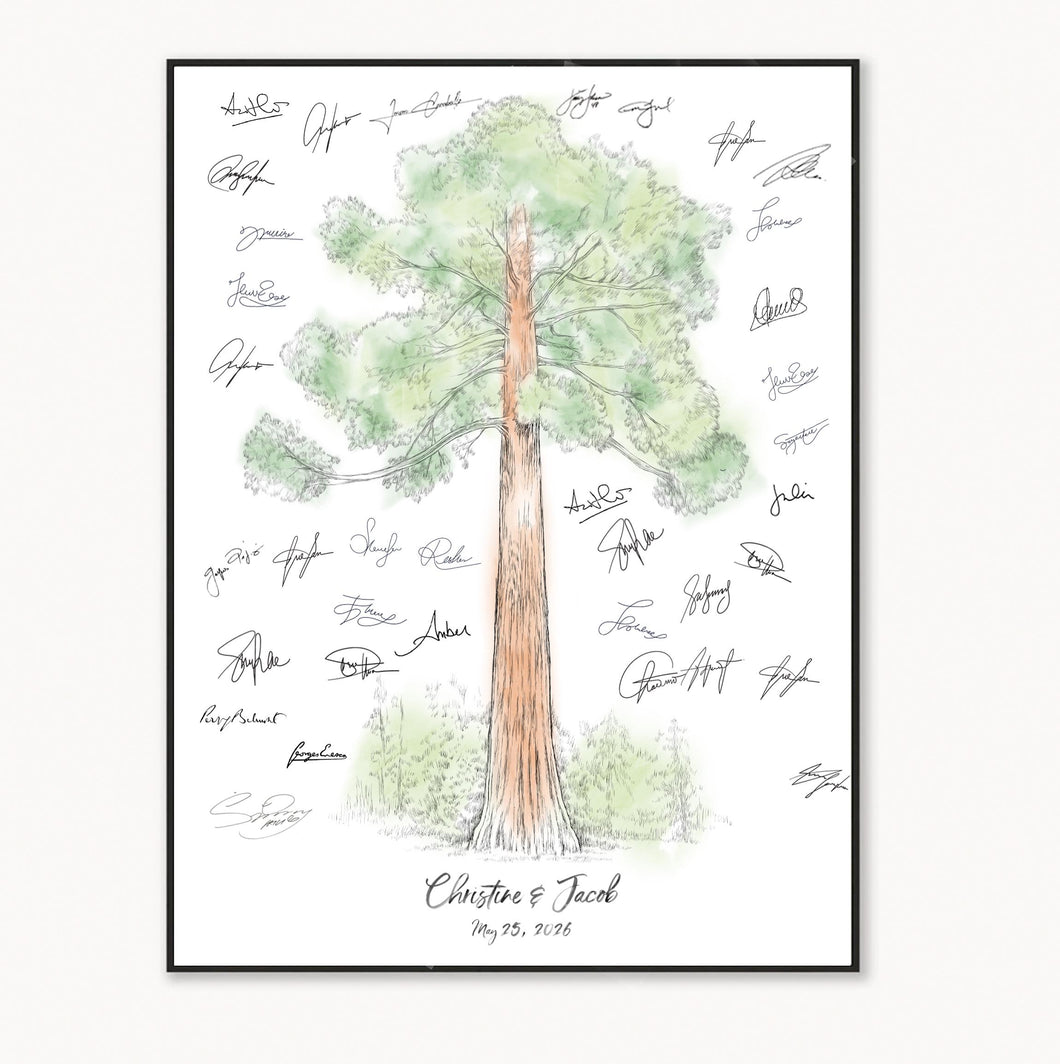 Guest Book Sequoia Tree, Alternative Guest Book Watercolor, Guest Signatures, Guestbook, Yosemite Guestbook, Sequoia National Park, Rustic