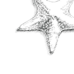Starfish Thumbprint Balloon Alternative Wedding Guest Book Print, Guestbook, Wedding, Bridal Shower, Beach Themed, Birthday Party, Family Reunion - Darlington Guestbooks