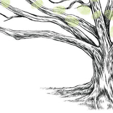Wedding Guest Book Alternative, Thumbprint Tree, Low Oak, Fingerprint Guestbook, Bridal Shower, Family Reunion, Wedding, Rustic, Baby Shower