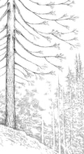New! Wedding Guest Book Alternative Pine Tree, Boho guestbook, Guests Signatures, Print, Guestbook, Bridal Shower, Family Reunion